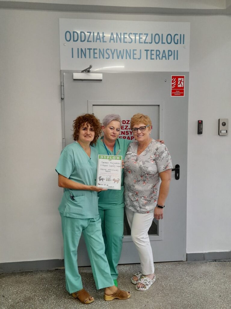 Zbiórka dla Bezdomnych Zwierząt 07.06.2023 1
