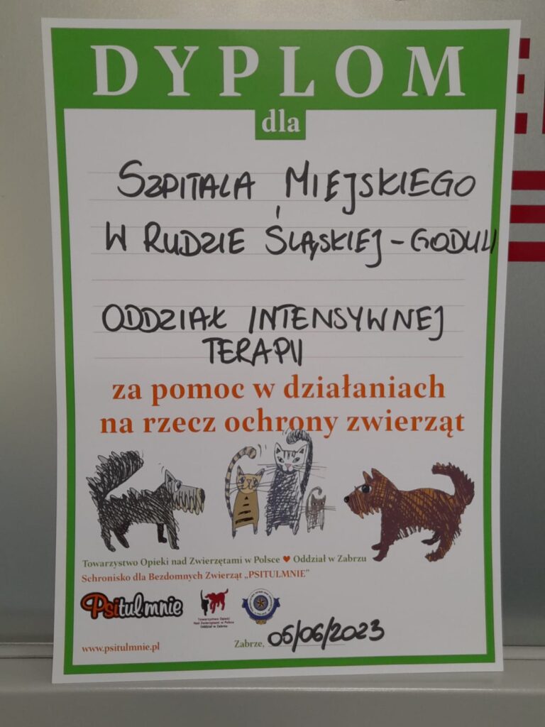 Zbiórka dla Bezdomnych Zwierząt 07.06.2023 2